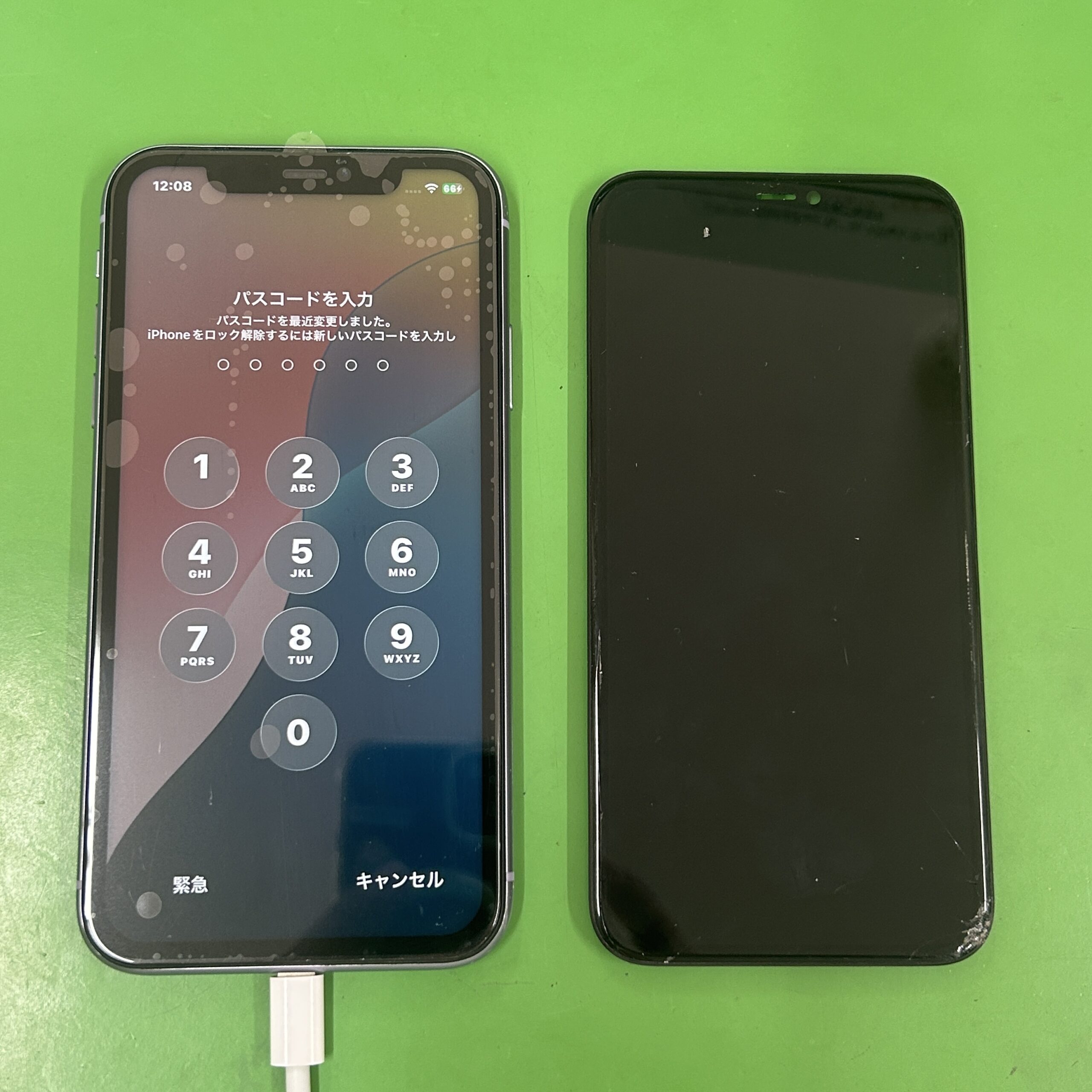 iPhone 11 フロントパネル交換